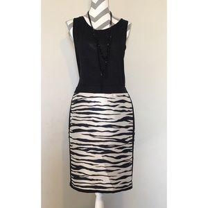 Ann Taylor Zebra Print Skirt